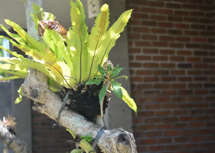 Hostal Bumbak Co-living Badung (Bali)