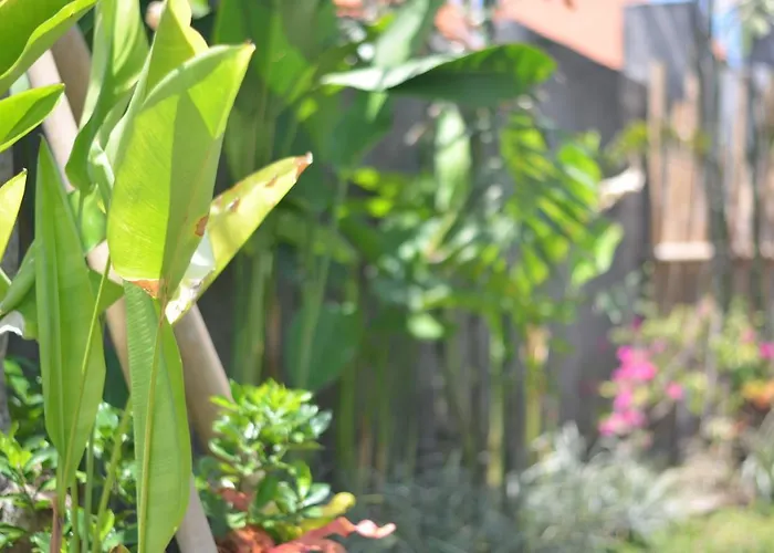 Hostal Bumbak Co-living Badung (Bali)